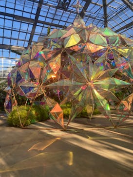 京成バラ園に投稿された画像（2022/11/11）