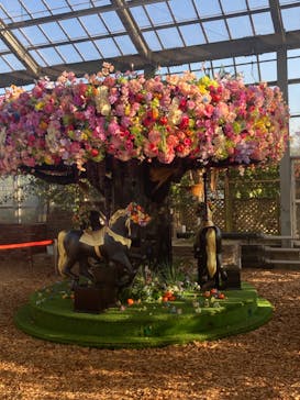 京成バラ園に投稿された画像（2022/11/11）