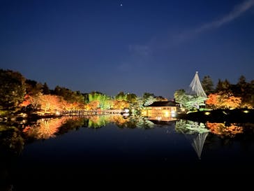 国営昭和記念公園 秋の夜散歩に投稿された画像（2022/11/11）