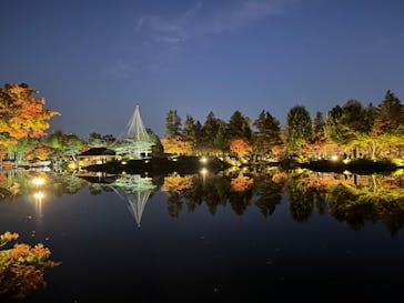 国営昭和記念公園 秋の夜散歩に投稿された画像（2022/11/11）