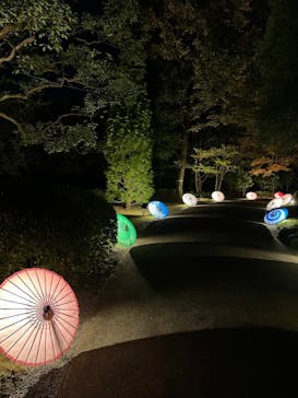 国営昭和記念公園 秋の夜散歩に投稿された画像（2022/11/11）