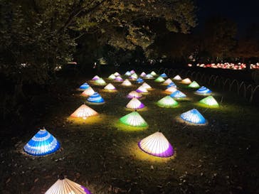 国営昭和記念公園 秋の夜散歩に投稿された画像（2022/11/11）