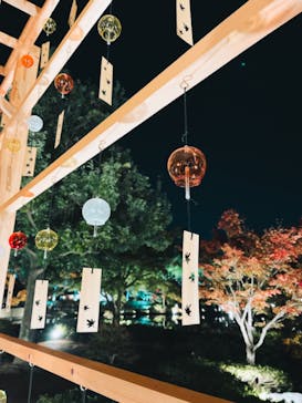 国営昭和記念公園 秋の夜散歩に投稿された画像（2022/11/11）