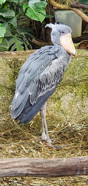 那須どうぶつ王国に投稿された画像（2022/11/11）