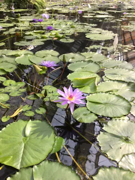 神戸どうぶつ王国に投稿された画像（2022/11/11）