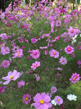 神戸どうぶつ王国に投稿された画像（2022/11/11）