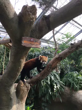 神戸どうぶつ王国に投稿された画像（2022/11/11）