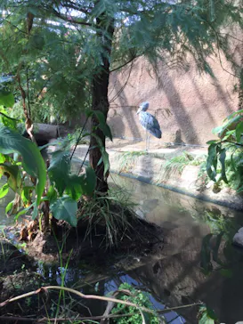 神戸どうぶつ王国に投稿された画像（2022/11/11）