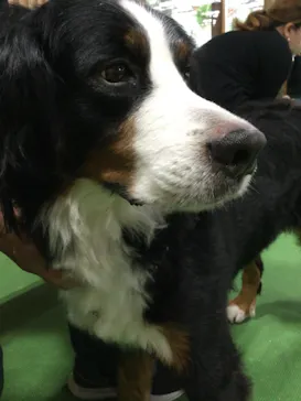 神戸どうぶつ王国に投稿された画像（2022/11/11）