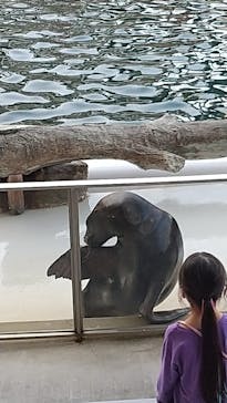 城崎マリンワールドに投稿された画像（2022/11/11）