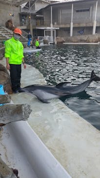 城崎マリンワールドに投稿された画像（2022/11/11）