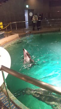 城崎マリンワールドに投稿された画像（2022/11/11）