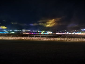 東京メガイルミに投稿された画像（2022/11/11）