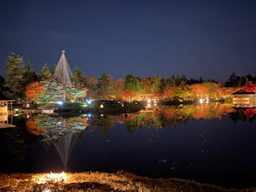 国営昭和記念公園 秋の夜散歩に投稿された画像（2022/11/11）