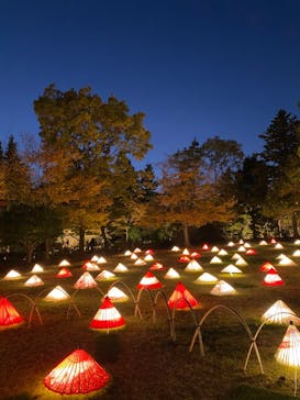 国営昭和記念公園 秋の夜散歩に投稿された画像（2022/11/11）