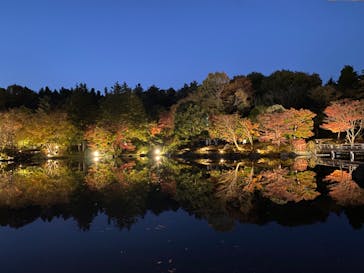 国営昭和記念公園 秋の夜散歩に投稿された画像（2022/11/11）