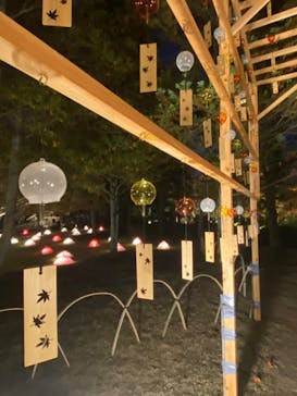 国営昭和記念公園 秋の夜散歩に投稿された画像（2022/11/11）