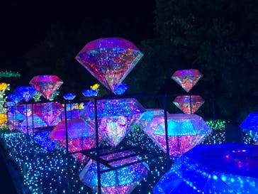 伊豆ぐらんぱる公園に投稿された画像（2022/11/11）