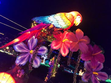 伊豆ぐらんぱる公園に投稿された画像（2022/11/11）