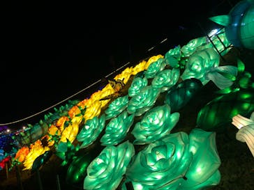 伊豆ぐらんぱる公園に投稿された画像（2022/11/11）