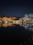 国営昭和記念公園 秋の夜散歩に投稿された画像（2022/11/11）
