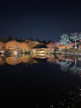 国営昭和記念公園 秋の夜散歩に投稿された画像（2022/11/11）