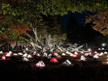 国営昭和記念公園 秋の夜散歩に投稿された画像（2022/11/11）