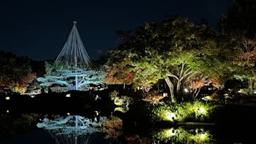 国営昭和記念公園 秋の夜散歩に投稿された画像（2022/11/11）