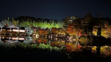 国営昭和記念公園 秋の夜散歩に投稿された画像（2022/11/11）