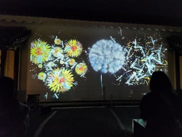 NAKED FLOWERS 2022 秋 世界遺産・二条城に投稿された画像（2022/11/11）