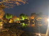 国営昭和記念公園 秋の夜散歩に投稿された画像（2022/11/11）