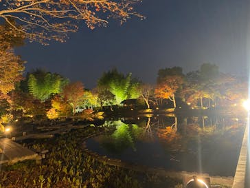 国営昭和記念公園 秋の夜散歩に投稿された画像（2022/11/11）