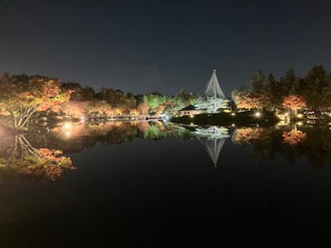 国営昭和記念公園 秋の夜散歩に投稿された画像（2022/11/11）