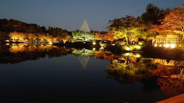 国営昭和記念公園 秋の夜散歩に投稿された画像（2022/11/11）