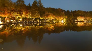 国営昭和記念公園 秋の夜散歩に投稿された画像（2022/11/11）