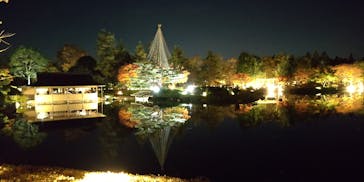 国営昭和記念公園 秋の夜散歩に投稿された画像（2022/11/11）
