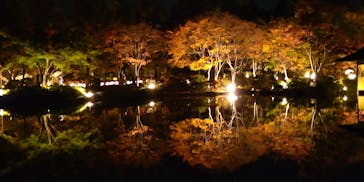 国営昭和記念公園 秋の夜散歩に投稿された画像（2022/11/11）