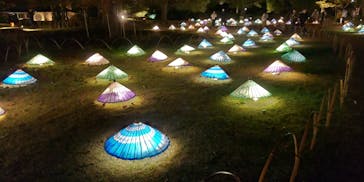 国営昭和記念公園 秋の夜散歩に投稿された画像（2022/11/11）