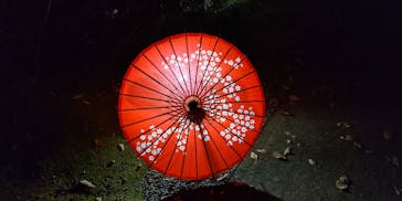 国営昭和記念公園 秋の夜散歩に投稿された画像（2022/11/11）