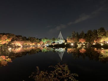 国営昭和記念公園 秋の夜散歩に投稿された画像（2022/11/11）