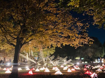 国営昭和記念公園 秋の夜散歩に投稿された画像（2022/11/11）