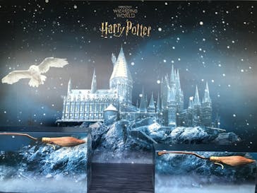 横浜ランドマークタワー 69階展望フロア スカイガーデンに投稿された画像（2022/11/11）