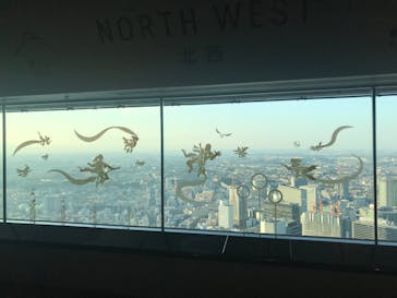 横浜ランドマークタワー 69階展望フロア スカイガーデンに投稿された画像（2022/11/11）