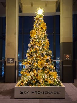 屋外展望台スカイプロムナードに投稿された画像（2022/11/11）