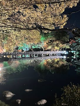 国営昭和記念公園 秋の夜散歩に投稿された画像（2022/11/11）