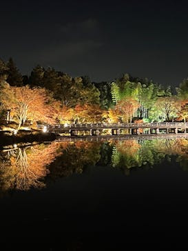 国営昭和記念公園 秋の夜散歩に投稿された画像（2022/11/11）
