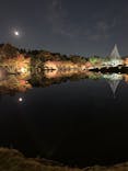 国営昭和記念公園 秋の夜散歩に投稿された画像（2022/11/11）