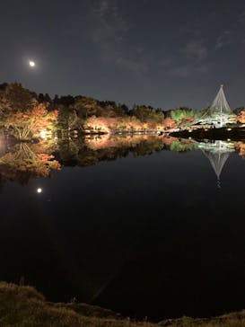 国営昭和記念公園 秋の夜散歩に投稿された画像（2022/11/11）