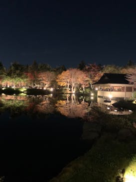 国営昭和記念公園 秋の夜散歩に投稿された画像（2022/11/11）