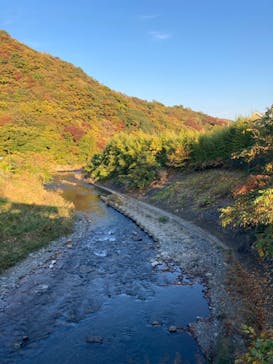 はだの・湯河原温泉 万葉の湯に投稿された画像（2022/11/11）